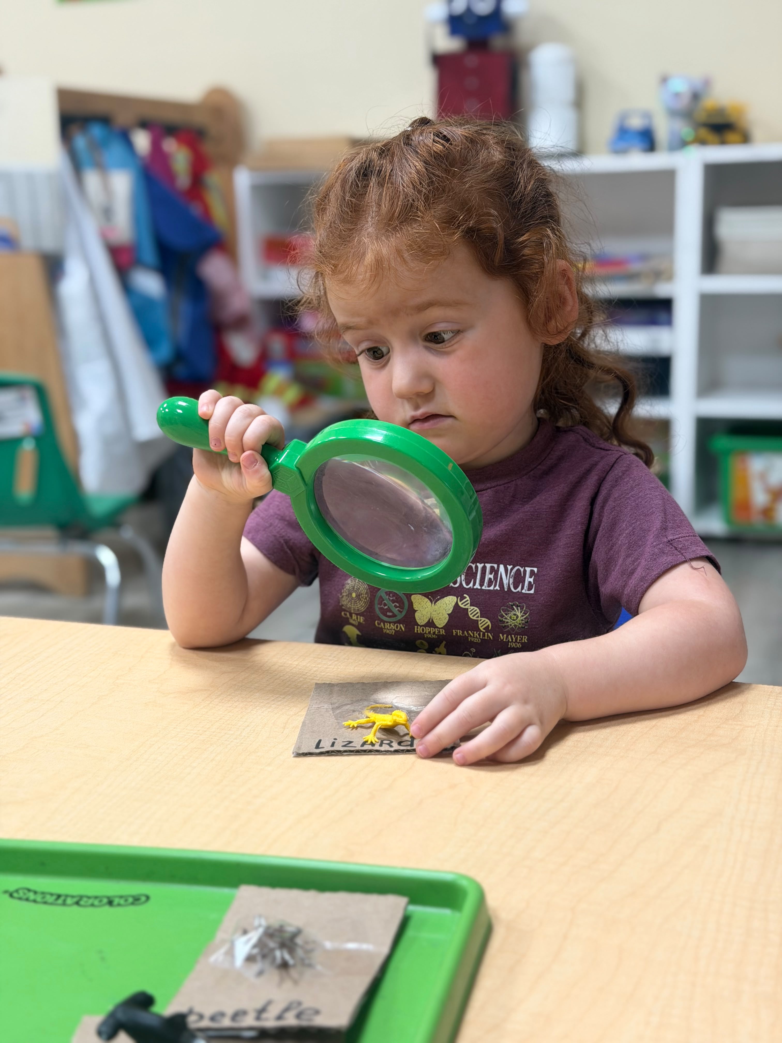 A young GCS student uses a magnifying glass to study small specimens.